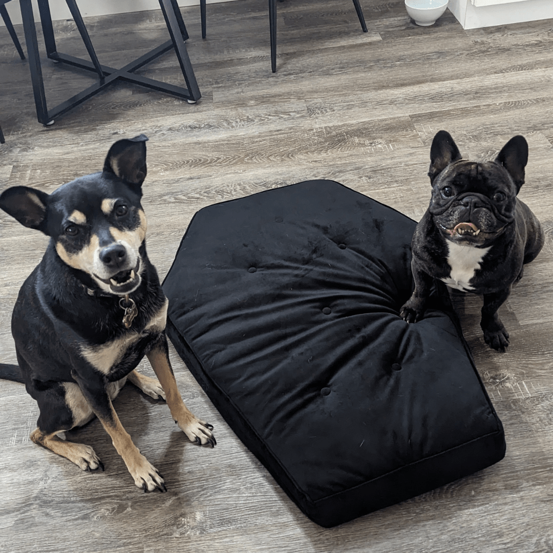 Critter Coffin - Coffin Shaped Memory Foam Pet Bed for Dogs & Cats - Goth Cloth Co.Home Decor66666666
