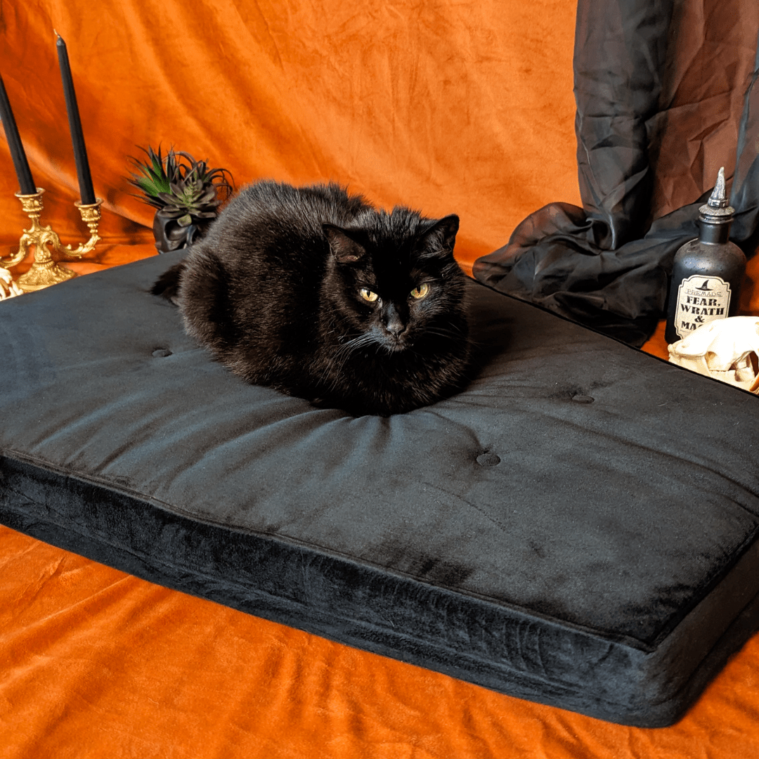 Critter Coffin - Coffin Shaped Memory Foam Pet Bed for Dogs & Cats - Goth Cloth Co.Home Decor66666666