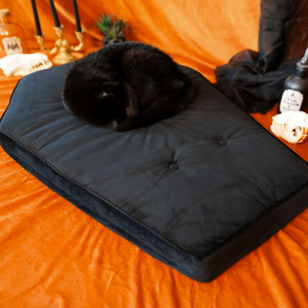 Critter Coffin - Coffin Shaped Memory Foam Pet Bed for Dogs & Cats - Goth Cloth Co.Home Decor66666666