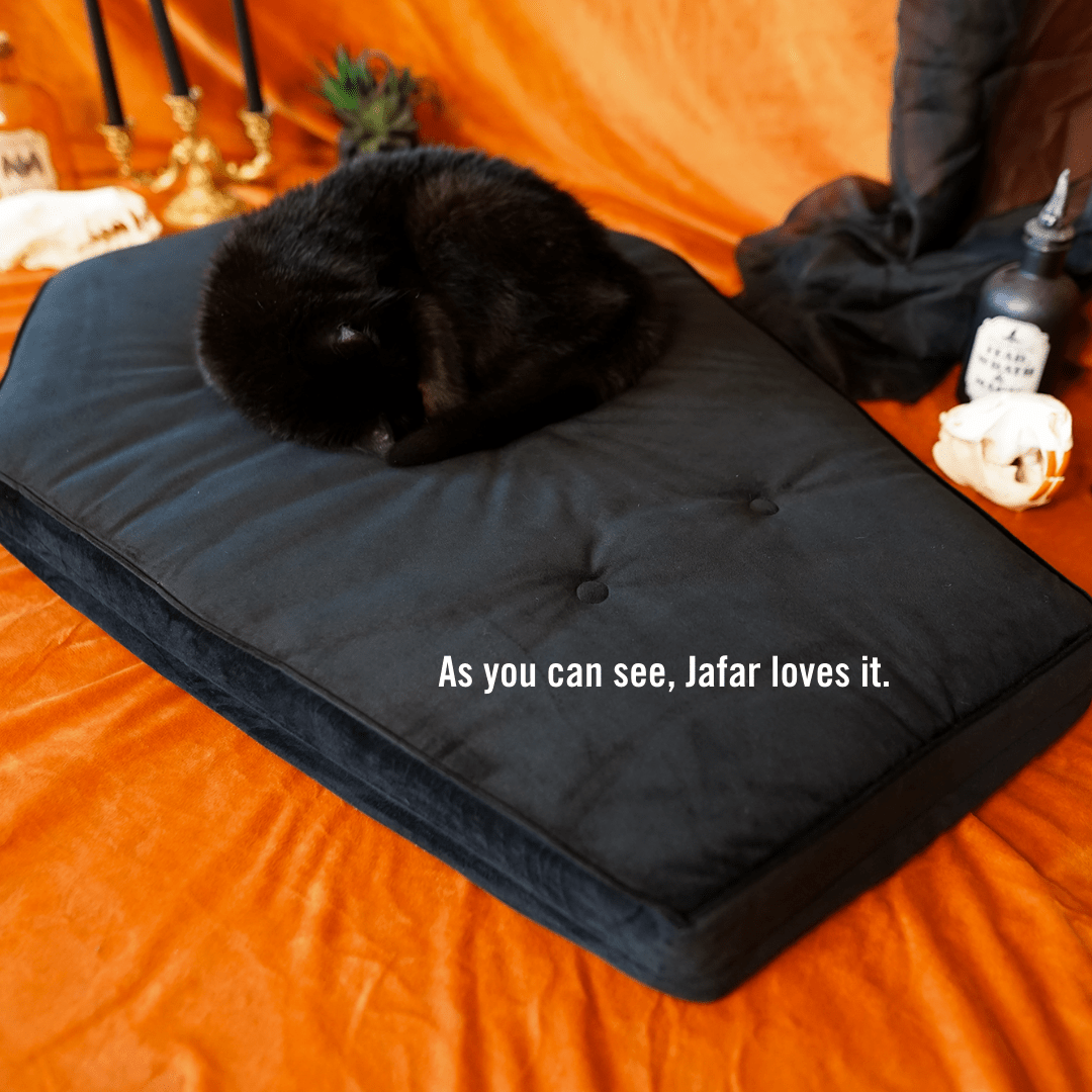 Critter Coffin - Coffin Shaped Memory Foam Pet Bed for Dogs & Cats - Goth Cloth Co.Home Decor66666666