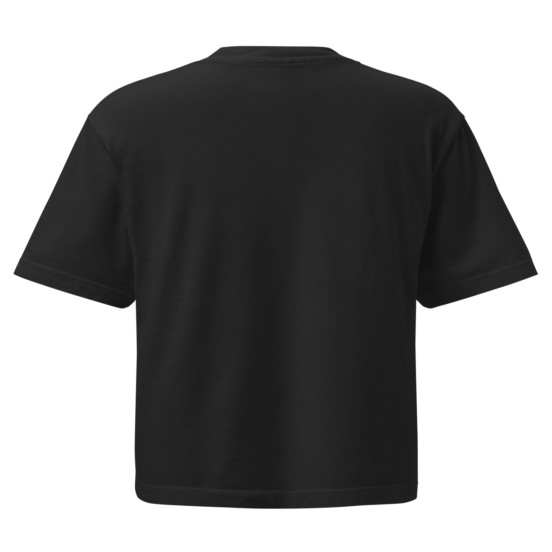 Crows Before Bros Crop Top - Goth Cloth Co.2673740_22584