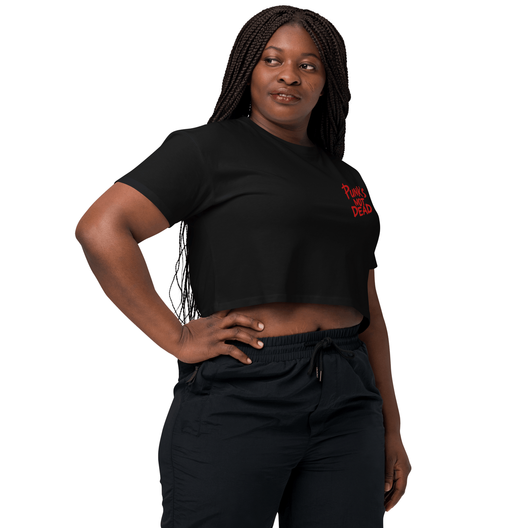 Punk's Not Dead Embroidered Crop Top - Goth Cloth Co.9398377_17240