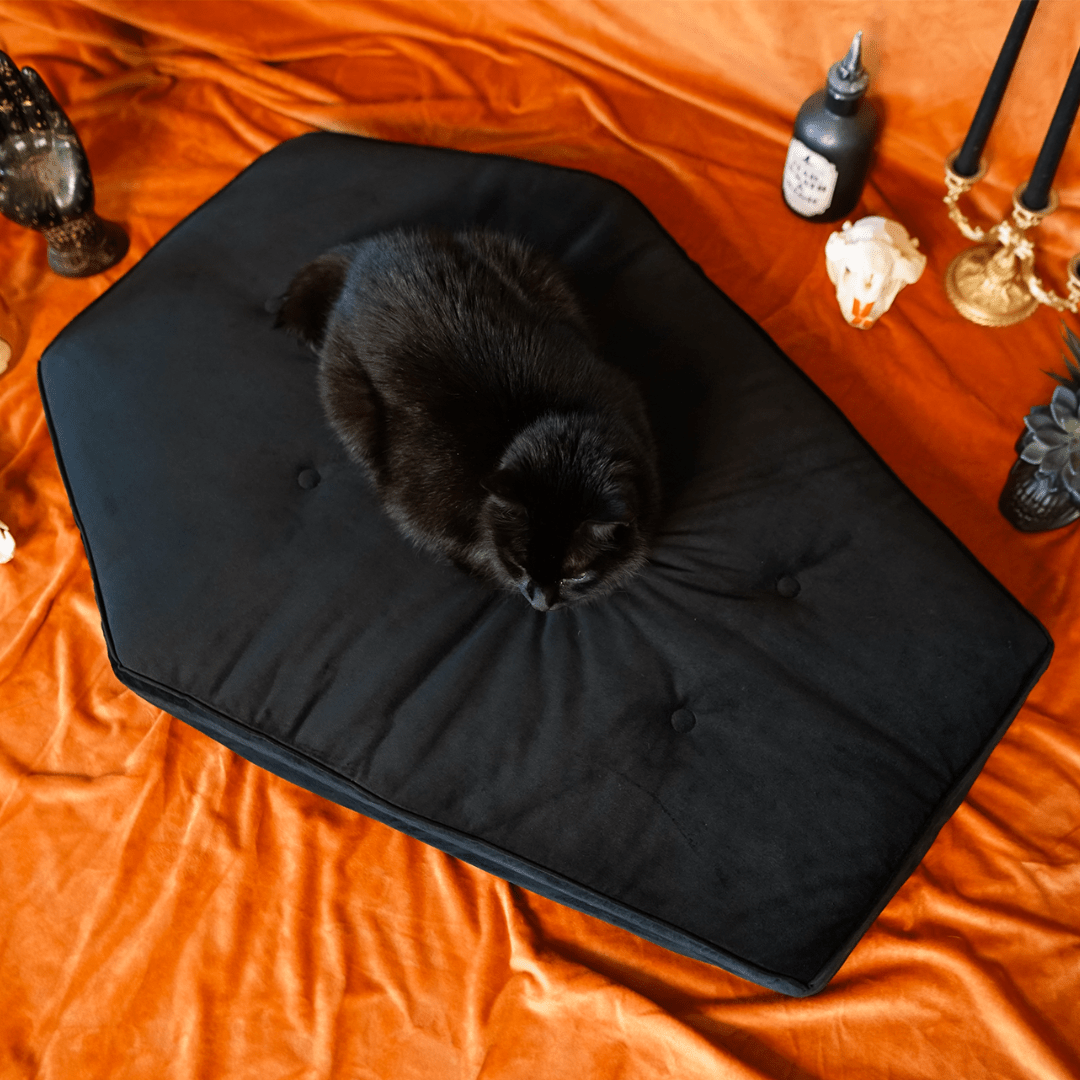 The Ultimate Gothic Pet Bed: Why the Critter Coffin is a Must-Have for Gothic Decor Enthusiasts - Goth Cloth Co.