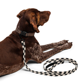 Checkered Board Pet Leash - Goth Cloth Co.3980635_19126