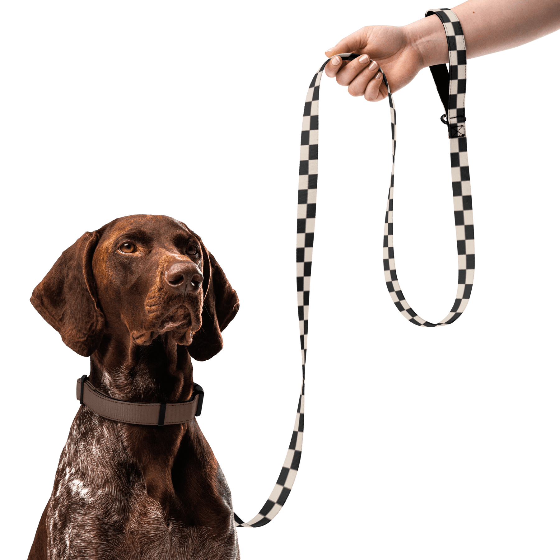 Checkered Board Pet Leash - Goth Cloth Co.3980635_19126