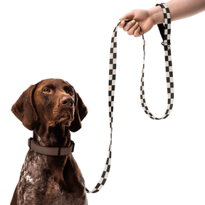 Checkered Board Pet Leash - Goth Cloth Co.3980635_19126