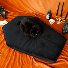 Critter Coffin - Coffin Shaped Memory Foam Pet Bed for Dogs & Cats - Goth Cloth Co.Home Decor66666666
