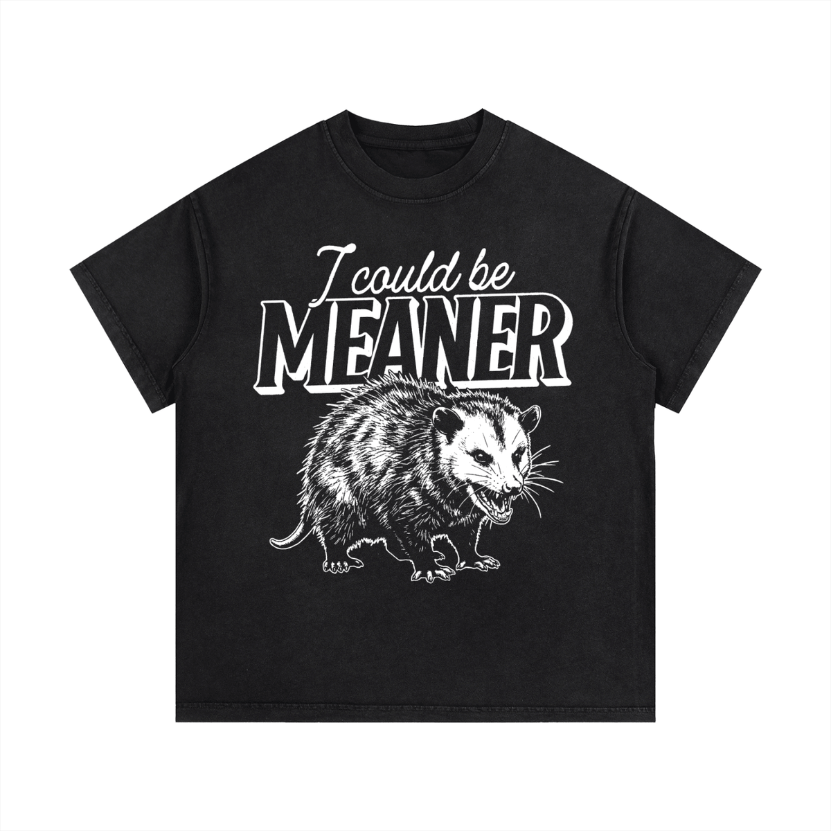 Meaner Opossum Vintage Wash Cotton T-Shirt - Goth Cloth Co.gymwear260813PODPQ0652001
