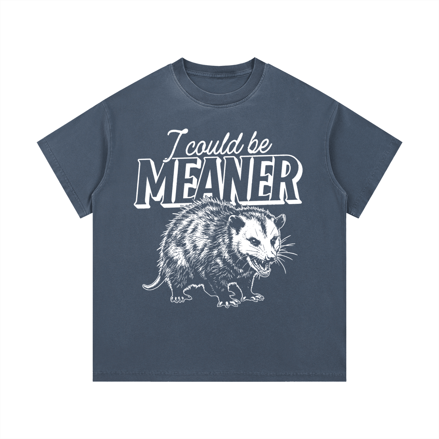 Meaner Opossum Vintage Wash Cotton T-Shirt - Goth Cloth Co.gymwear260813PODPQ0652011